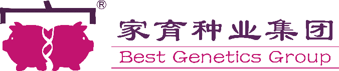 家育小黑豚